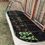 Preparing The Soil For Your Raised Garden Bed: How To Do So?