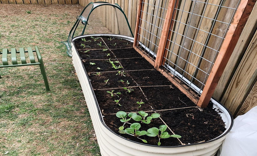 Preparing The Soil For Your Raised Garden Bed: How To Do So?